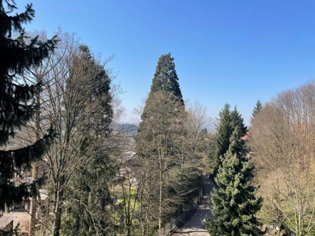 Urlaub Im Schwarzwald! Ghp440 Leilighet Sasbachwalden Eksteriør bilde